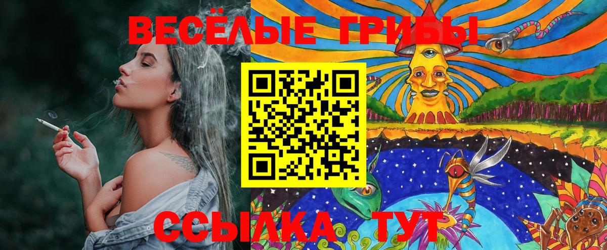 Галлюциногенные грибы Magic Shrooms  Псилоцибиновые грибы мицелий  Вход с VPN  Новодвинск 
