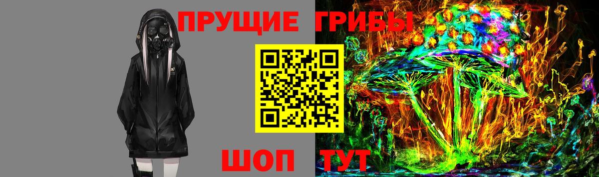 Псилоцибиновые грибы Magic Shrooms Новодвинск